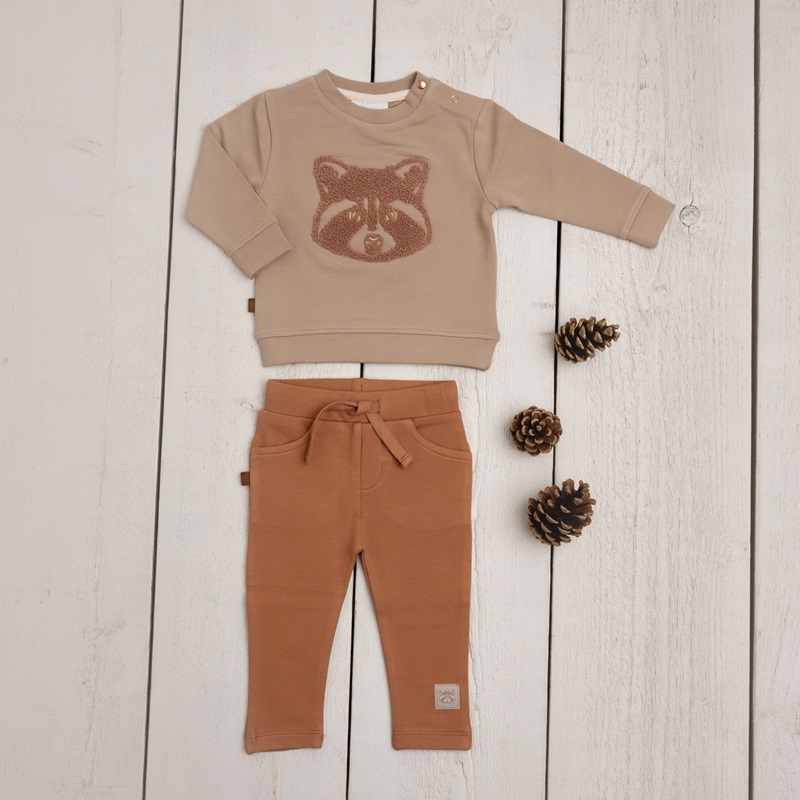 Frogs and Dogs | sweat shirt raccoon taupe - Afbeelding 4